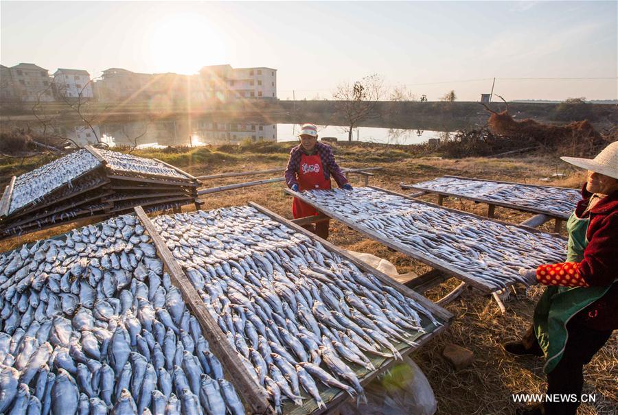 #CHINA-JIANGXI-FISH-DRYING (CN)