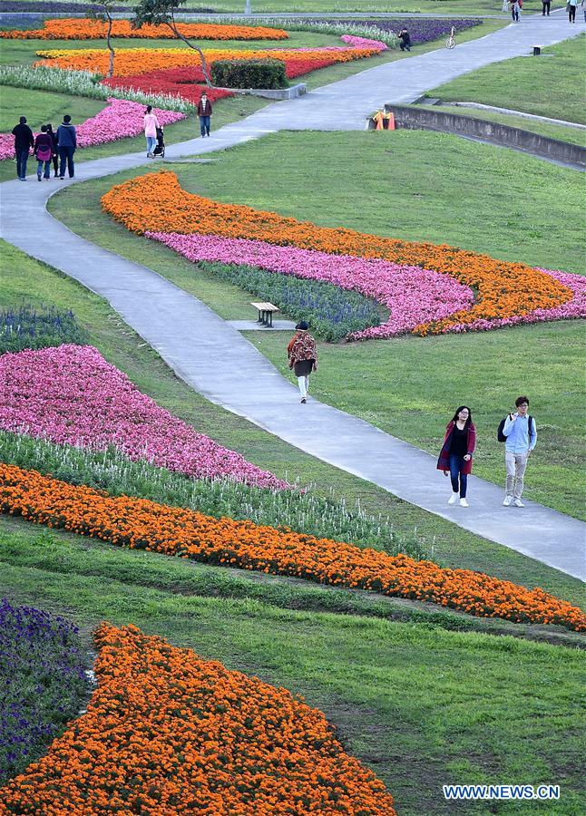 CHINA-TAIPEI-PARK-FLOWER (CN)