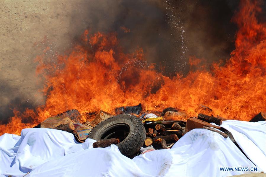 AFGHANISTAN-ZABUL-NARCOTICS-BURNING