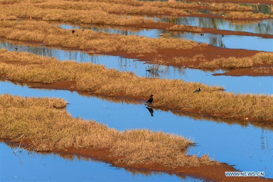 CHINA-YUNNAN-NIANHU LAKE(CN)