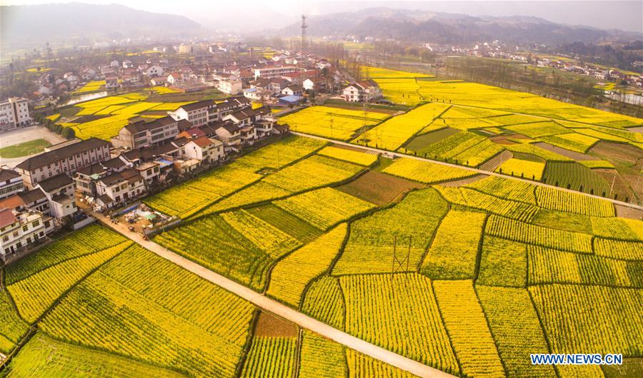 CHINA-SPRING SCENERY (CN)