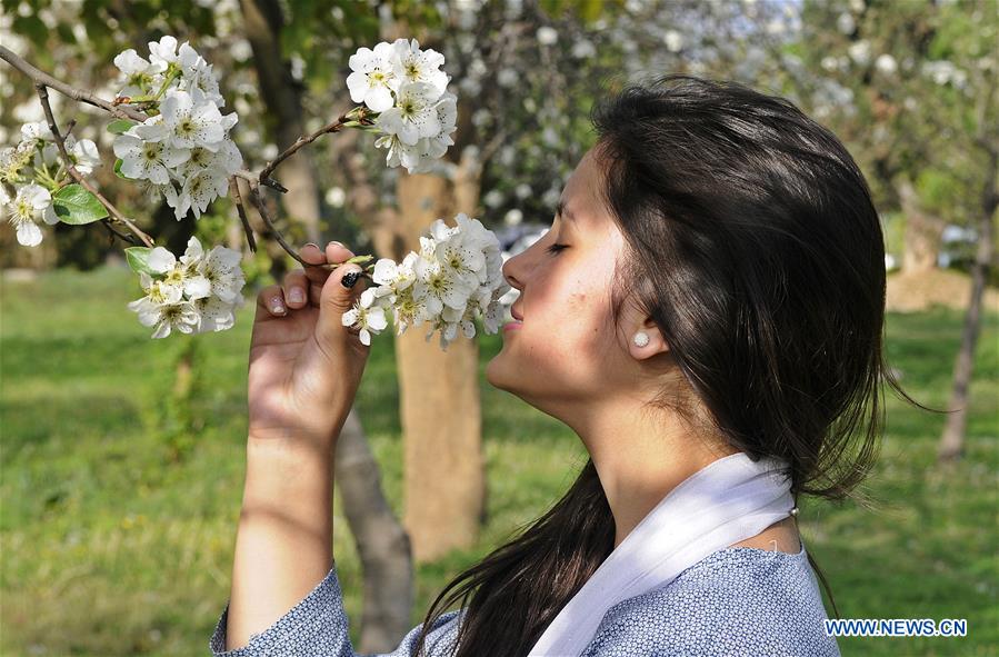 PAKISTAN-ISLAMABAD-SPRING-FLOWERS