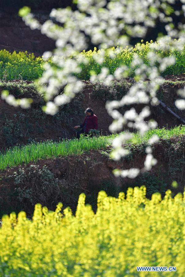 CHINA-SHAANXI-SPRING SCENERY (CN)