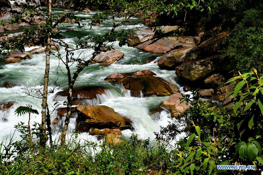 CHINA-TIBET-MEDOG-SPRING SCENERY (CN)