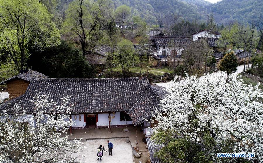 CHINA-SHAANXI-HANZHONG-FLOWER ECONOMY (CN)