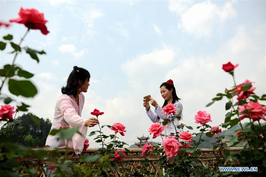 #CHINA-GUIZHOU-FLOWER INDUSTRY (CN)