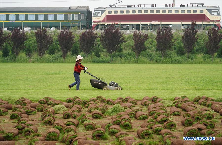 CHINA-XI'AN-RURAL ECONOMY-TURF-BUSINESS (CN)