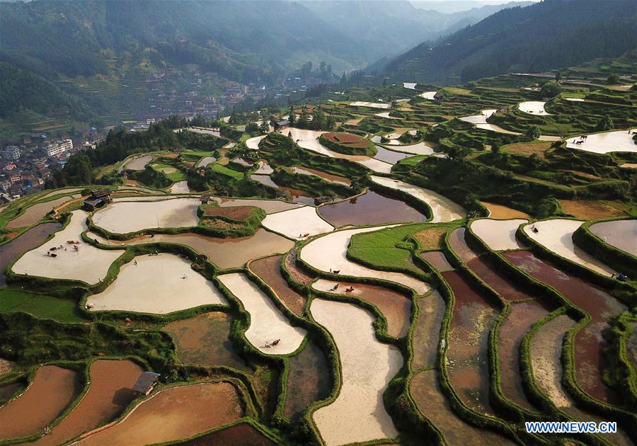 CHINA-GUIZHOU-LIPING-TRADITIONAL PLOUGH (CN)