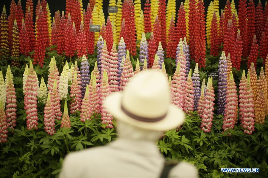 BRITAIN-LONDON-CHELSEA FLOWER SHOW