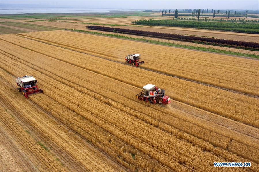 CHINA-SHANXI-WHEAT-HARVEST (CN)