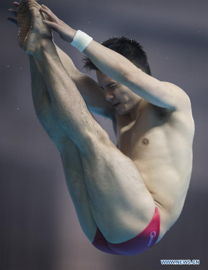 (SP)CHINA-WUHAN-DIVING-FINA-WORLD CUP (CN)