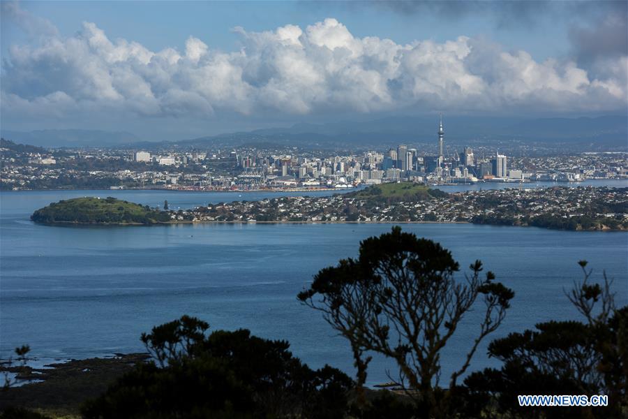 NEW ZEALAND-AUCKLAND-RANGITOTO ISLAND-VOLCANIC ISLAND