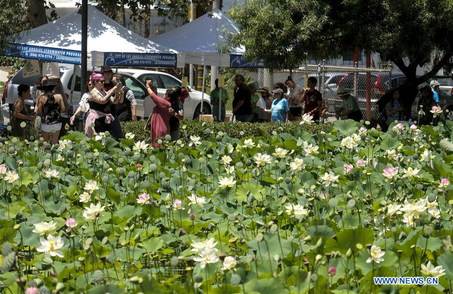 U.S.-LOS ANGELES-LOTUS FESTIVAL