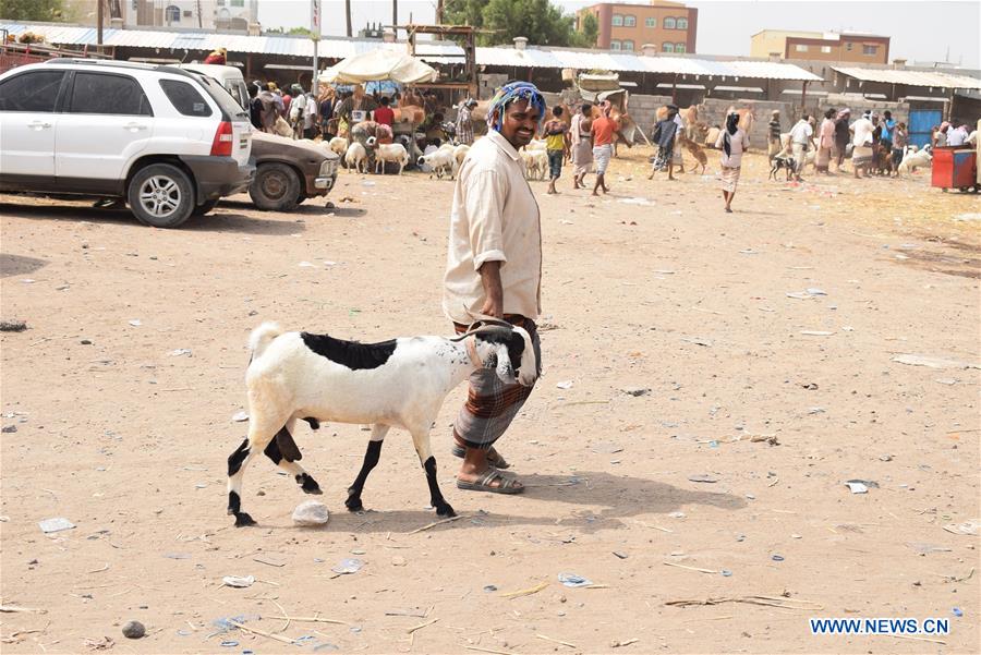 YEMEN-ADEN-EID AL-ADHA-LIVESTOCK MARKET