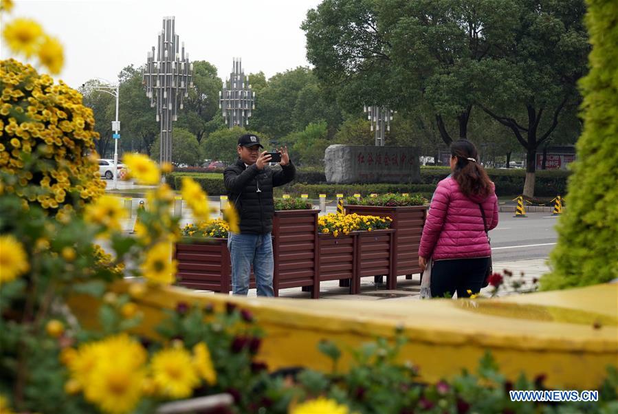 CHINA-JIANGXI-NANCHANG-CHRYSANTHEMUM SHOW (CN)