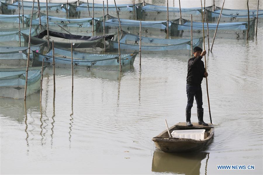 #CHINA-JIANGSU-HUAIAN-AQUACULTURE-CRAB (CN)