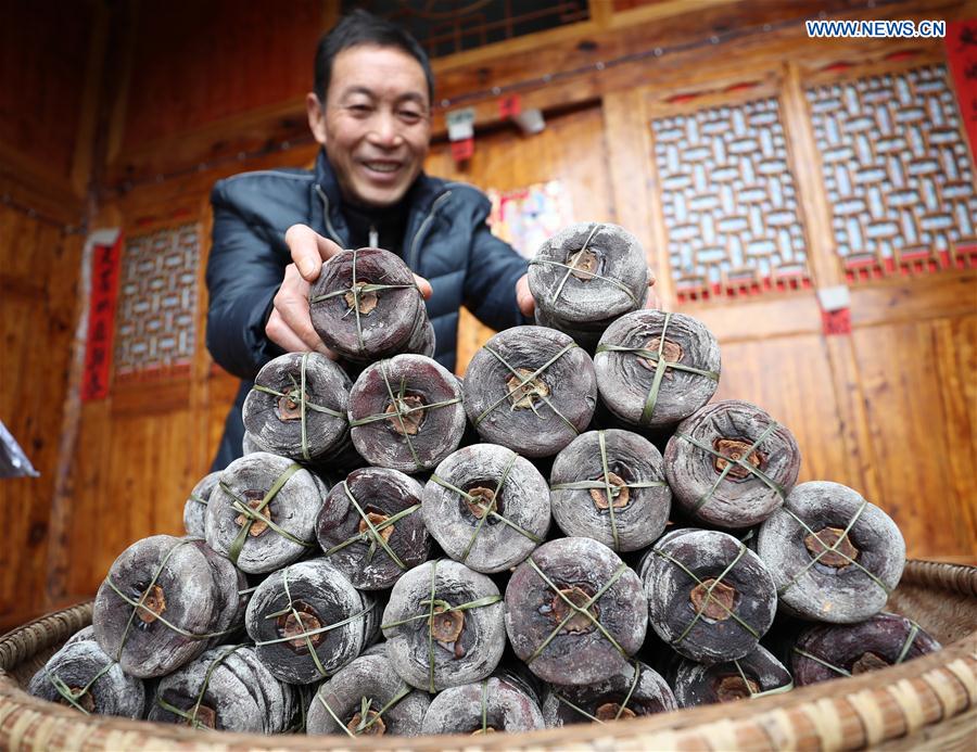 #CHINA-GUIZHOU-PERSIMMON-HARVEST (CN)