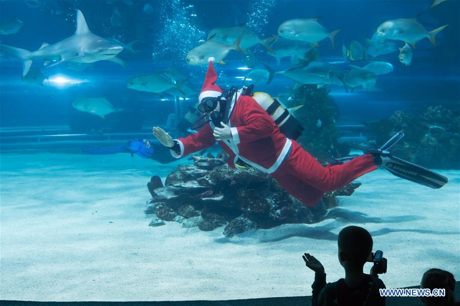 HUNGARY-BUDAPEST-DIVING SANTA