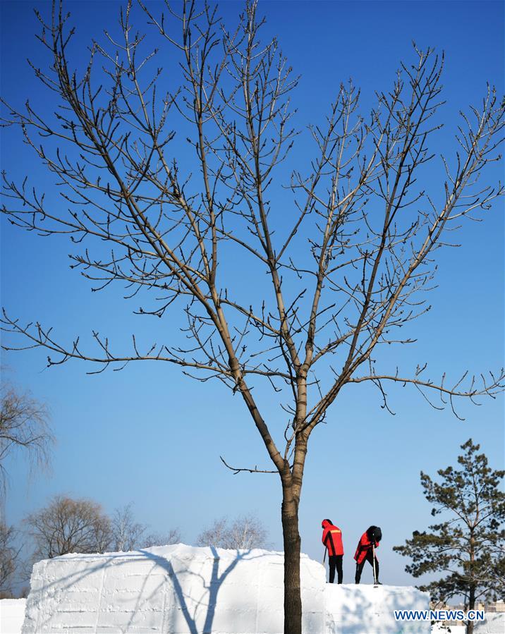 CHINA-HEILONGJIANG-HARBIN-SNOW SCULPTURES-COMPETITION (CN) 