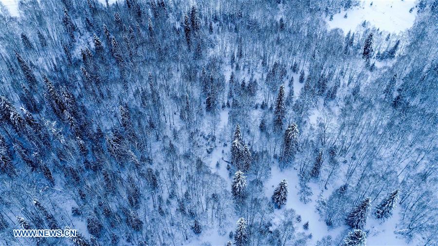 CHINA-XINJIANG-KANAS-SNOW SCENERY (CN)