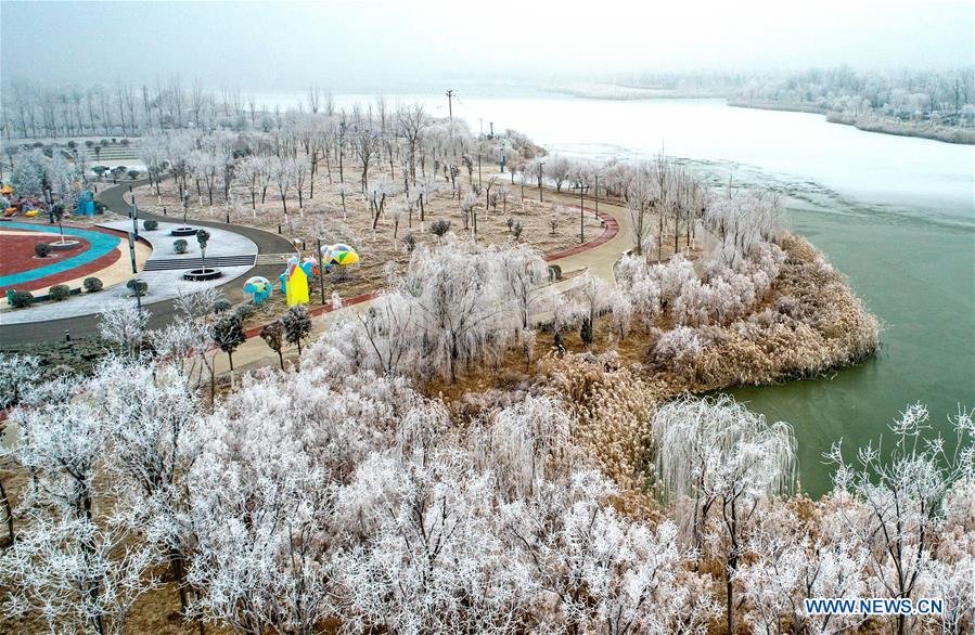 #CHINA-SHANXI-YUNCHENG-RIME SCENERY (CN)