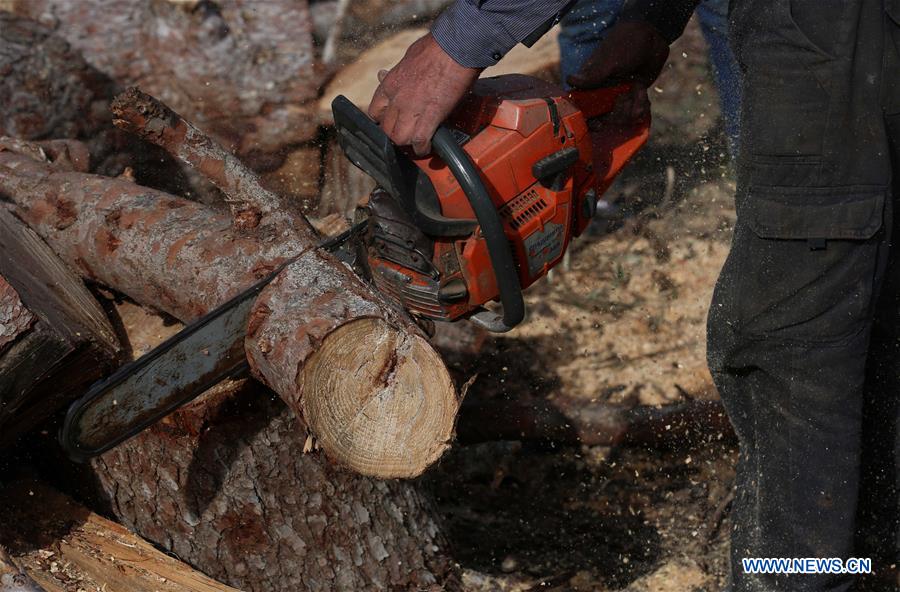 MIDEAST-NABLUS-WINTER-FIREWOOD