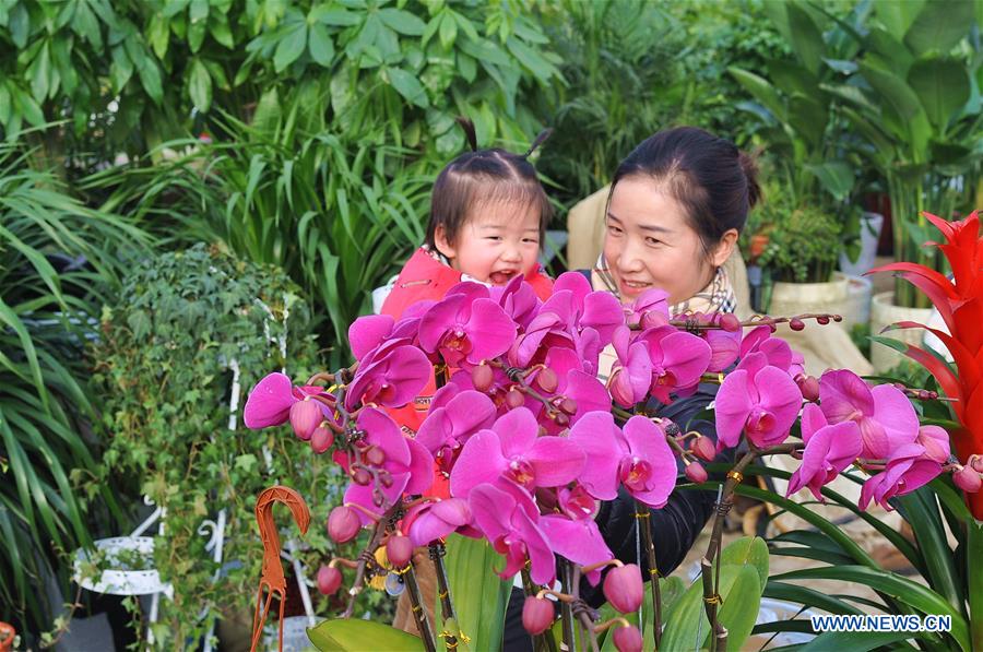 CHINA-FLOWER-SPRING FESTIVAL-PREPARATION (CN)