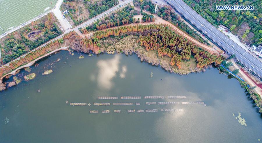 CHINA-KUNMING-DIANCHI LAKE-WATER QUALITY (CN)