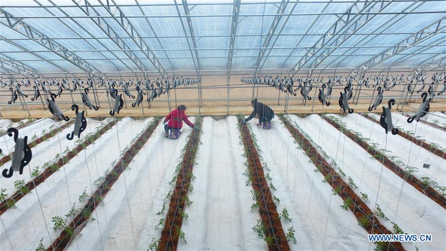 #CHINA-EARLY SPRING-FARMWORK (CN)