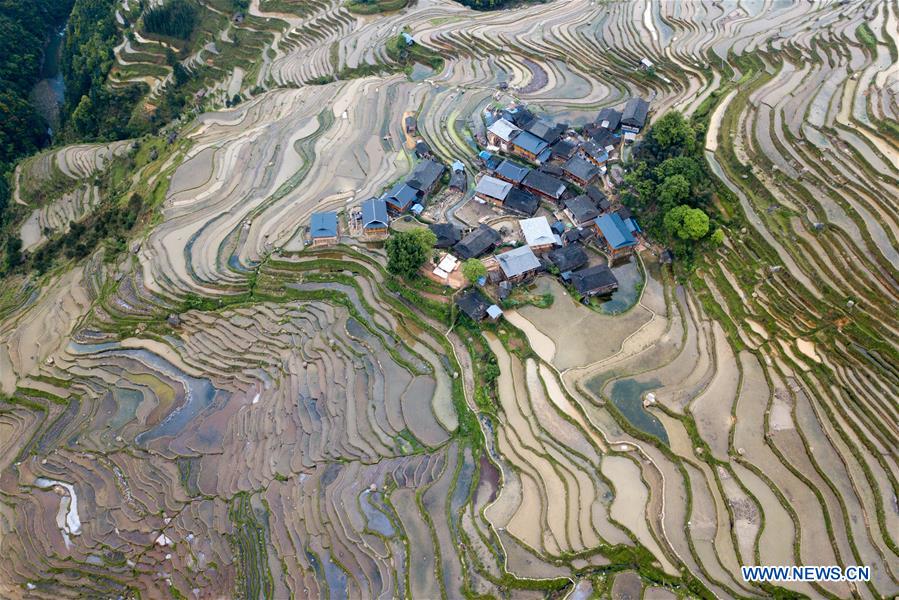 #CHINA-GUIZHOU-CONGJIANG-TERRACED FIELD (CN)