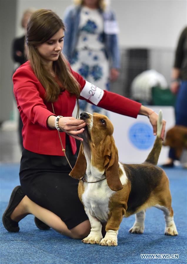 GERMANY-DORTMUND-DOG-CAT-EXHIBITION