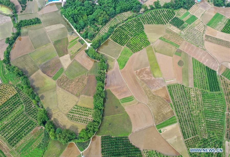 CHINA-GUANGXI-FARMLAND SCENERY (CN)