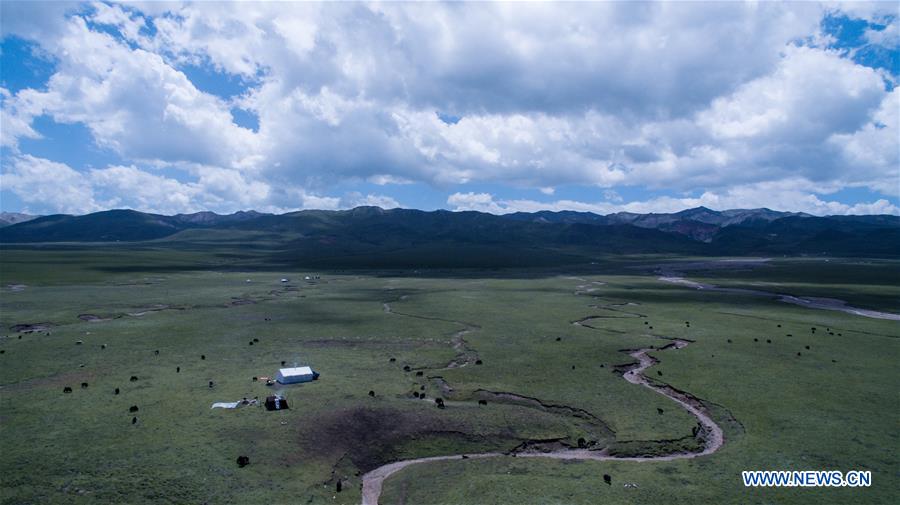 CHINA-QINGHAI-QILIAN-SCENERY (CN)