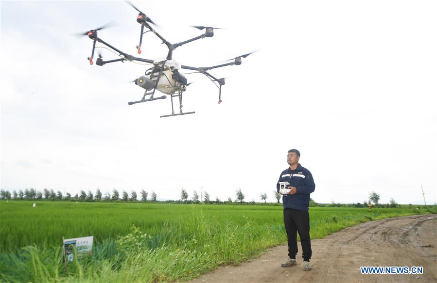 CHINA-JILIN-HUINAN-GREEN AND ORGANIC AGRICULTURE (CN)