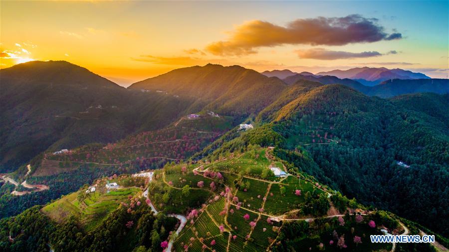 (EcoChina)CHINA-HORTICULTURAL EXPO-YUNNAN (CN)