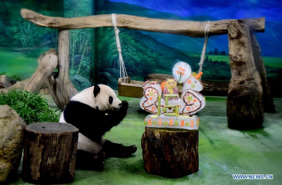 CHINA-TAIPEI-GIANT PANDAS-BIRTHDAY (CN)