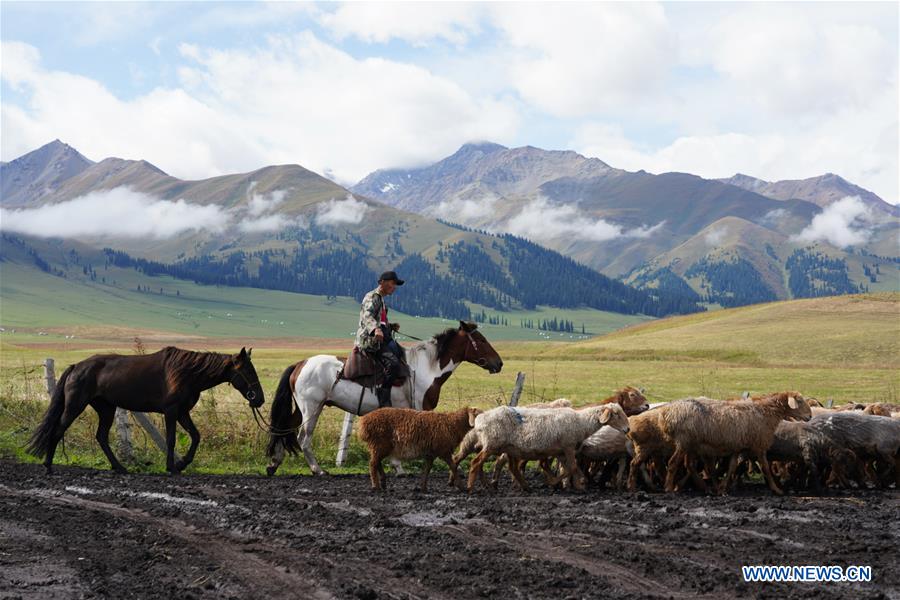 CHINA-XINJIANG-NARAT-SCENERY (CN)