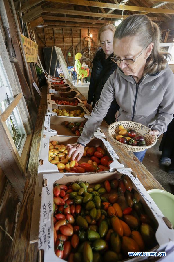 CANADA-DELTA-HEIRLOOM TOMATO FEST