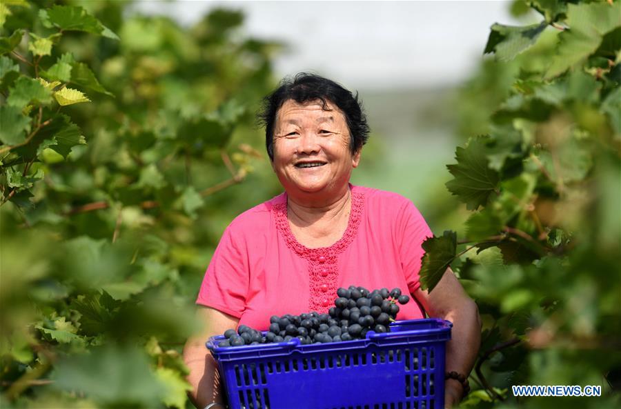 CHINA-HARVEST FESTIVAL-CELEBRATION (CN)