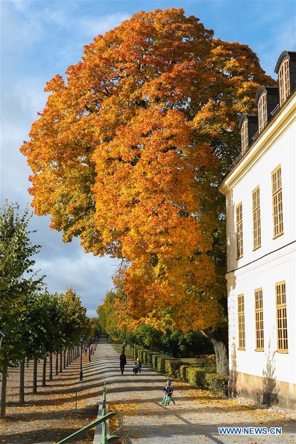 SWEDEN-STOCKHOLM-AUTUMN