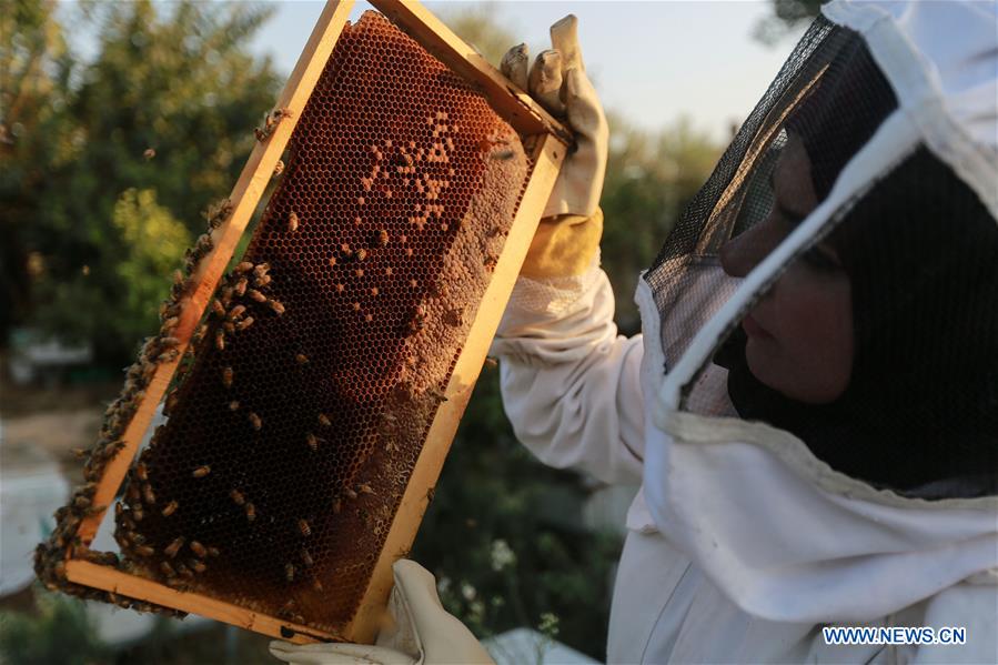 MIDEAST-GAZA-BEEKEEPER