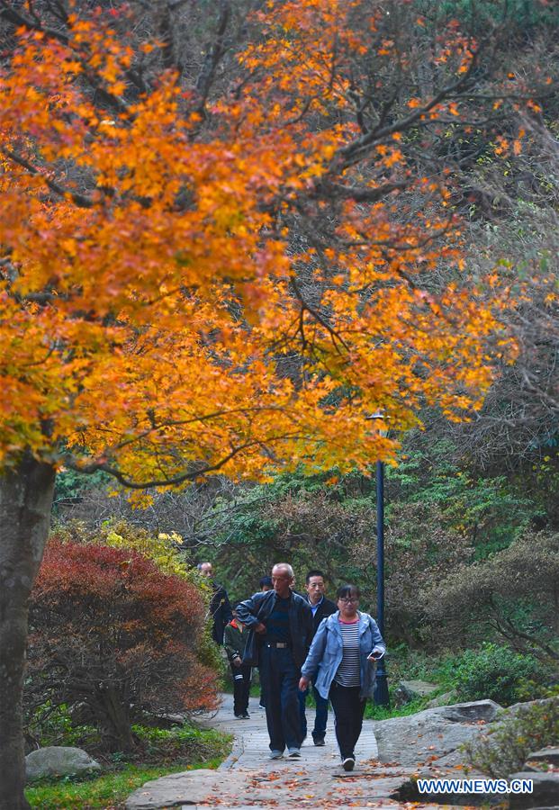 CHINA-JIANGXI-LUSHAN-MAPLE LEAVES (CN)