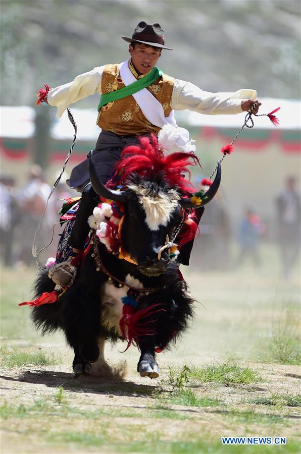 CHINA-TIBET-ONGKOR FESTIVAL-CELEBRATION (CN)