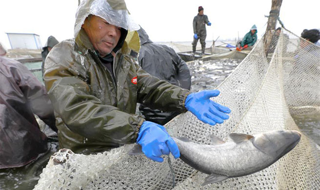 Busy fishing time in east China's Jiangsu