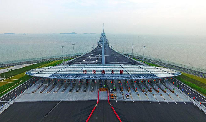 World's longest cross-sea bridge opens to public traffic