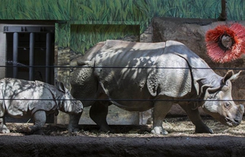 In pics: Mother's Day at Toronto Zoo