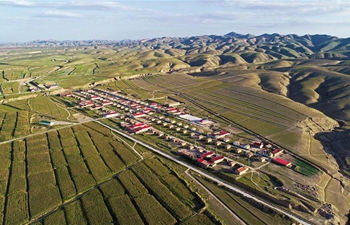 Water diversion project turns arid land into farmland in Hanjiaoshui Township