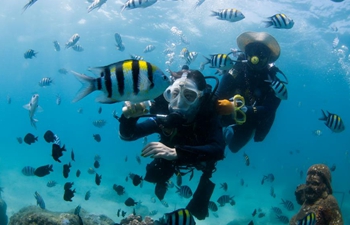 Tourists enjoy diving at Boundary Island Tourist Attraction in Hainan