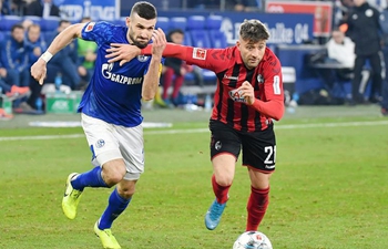 German Bundesliga: Schalke 04 vs. Freiburg