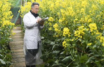 Agricultural experts make research work in Chongqing